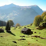 Abendrot Apartments-19 By Interhome * Grindelwald