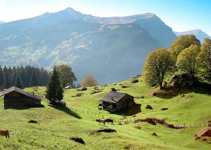 Abendrot Apartments-19 By Interhome * גרינדלוולד