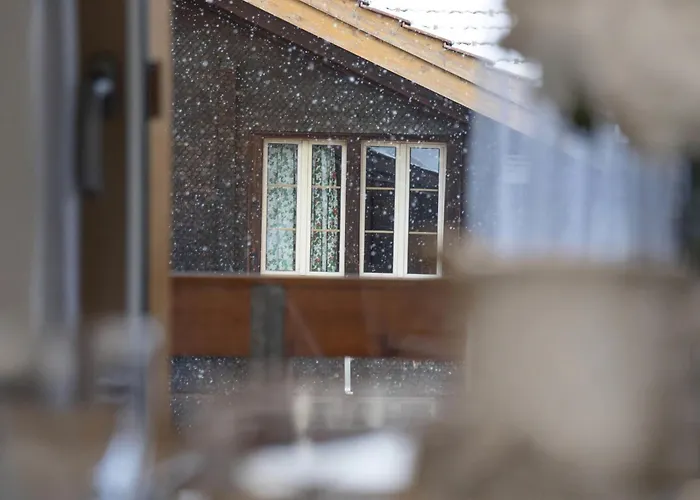 Abendrot Apartments-19 By Interhome גרינדלוולד